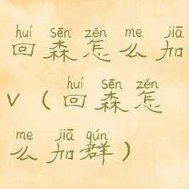 回森怎么加v(回森怎么加群)