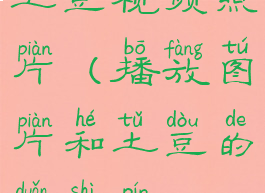 土豆视频照片(播放图片和土豆的短视频)