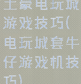 土豪电玩城游戏技巧(电玩城套牛仔游戏机技巧)