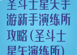 圣斗士星矢手游新手演练所攻略(圣斗士星矢演练所)