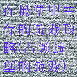 在城堡里生存的游戏攻略(占领城堡的游戏)