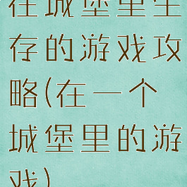 在城堡里生存的游戏攻略(在一个城堡里的游戏)