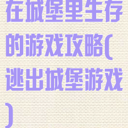 在城堡里生存的游戏攻略(逃出城堡游戏)