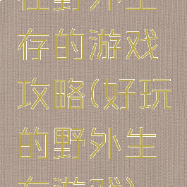 在野外生存的游戏攻略(好玩的野外生存游戏)