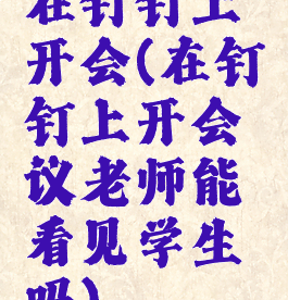 在钉钉上开会(在钉钉上开会议老师能看见学生吗)