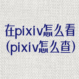 在pixiv怎么看(pixiv怎么查)