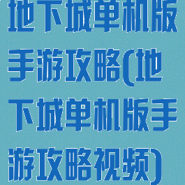 地下城单机版手游攻略(地下城单机版手游攻略视频)