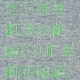 地下城单机游戏秘籍(DNF单机版秘籍)