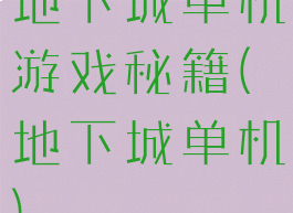 地下城单机游戏秘籍(地下城单机)
