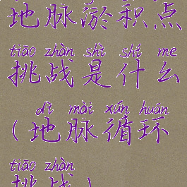 地脉淤积点挑战是什么(地脉循环挑战)