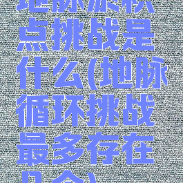 地脉淤积点挑战是什么(地脉循环挑战最多存在几个)