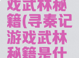 寻秦记游戏武林秘籍(寻秦记游戏武林秘籍是什么)