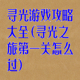 寻光游戏攻略大全(寻光之旅第一关怎么过)