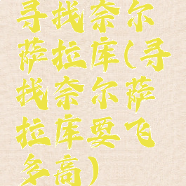 寻找奈尔萨拉库(寻找奈尔萨拉库要飞多高)