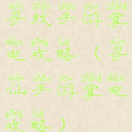 寻找手游掌电攻略(寻仙手游掌电攻略)