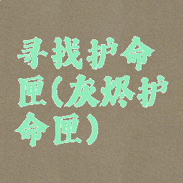 寻找护命匣(灰烬护命匣)