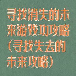寻找消失的未来游戏功攻略(寻找失去的未来攻略)