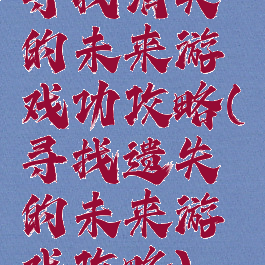 寻找消失的未来游戏功攻略(寻找遗失的未来游戏攻略)
