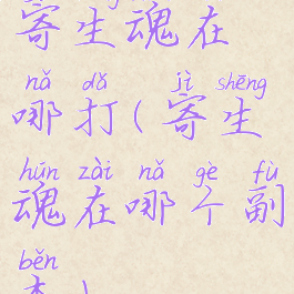 寄生魂在哪打(寄生魂在哪个副本)