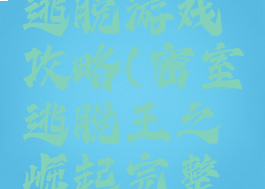 密室之王逃脱游戏攻略(密室逃脱王之崛起完整攻略)