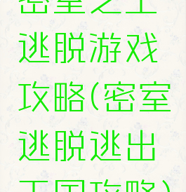 密室之王逃脱游戏攻略(密室逃脱逃出王国攻略)