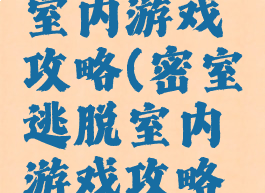 密室逃脱室内游戏攻略(密室逃脱室内游戏攻略大全)