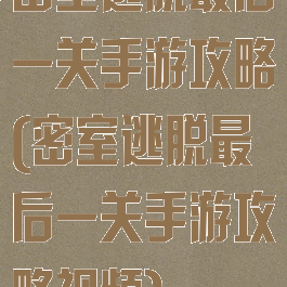 密室逃脱最后一关手游攻略(密室逃脱最后一关手游攻略视频)