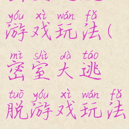 密室逃脱游戏玩法(密室大逃脱游戏玩法)