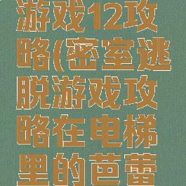 密室逃脱游戏12攻略(密室逃脱游戏攻略在电梯里的芭蕾舞者)