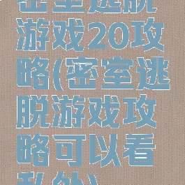 密室逃脱游戏20攻略(密室逃脱游戏攻略可以看私处)