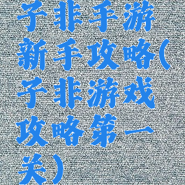 子非手游新手攻略(子非游戏攻略第一关)