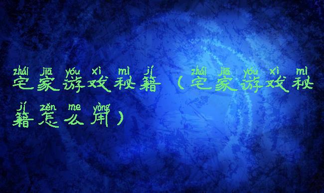 宅家游戏秘籍(宅家游戏秘籍怎么用)