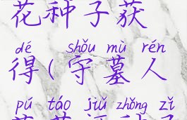 守墓人啤酒花种子获得(守墓人葡萄酒种子)