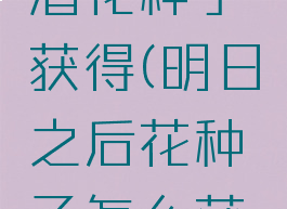 守墓人啤酒花种子获得(明日之后花种子怎么获得)