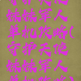 守护天使妹妹军人单机攻略(守护天使妹妹军人单机攻略)