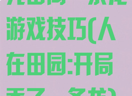 完田间一条龙游戏技巧(人在田园:开局吞了一条龙)