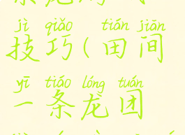 完田间一条龙游戏技巧(田间一条龙团建游戏规则)