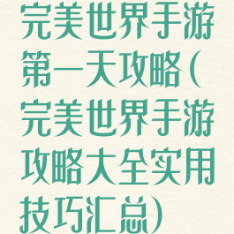 完美世界手游第一天攻略(完美世界手游攻略大全实用技巧汇总)