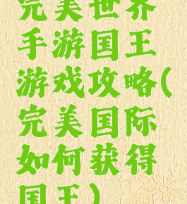 完美世界手游国王游戏攻略(完美国际如何获得国王)