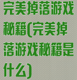 完美掉落游戏秘籍(完美掉落游戏秘籍是什么)