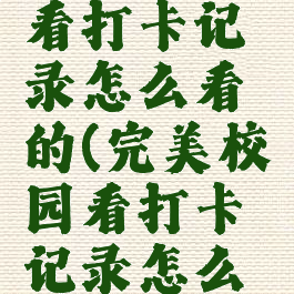 完美校园看打卡记录怎么看的(完美校园看打卡记录怎么看的出来)