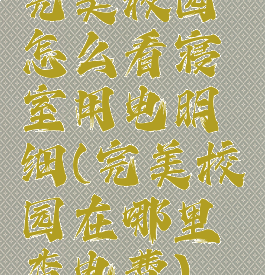 完美校园怎么看寝室用电明细(完美校园在哪里查电费)