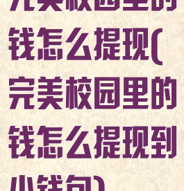 完美校园里的钱怎么提现(完美校园里的钱怎么提现到小钱包)