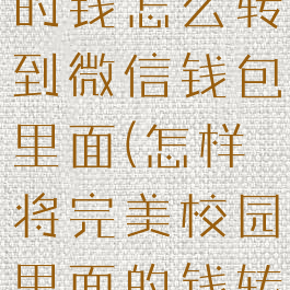 完美校园里的钱怎么转到微信钱包里面(怎样将完美校园里面的钱转入卡中)
