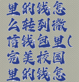 完美校园里的钱怎么转到微信钱包里(完美校园里的钱怎么提现)