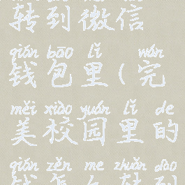 完美校园里的钱怎么转到微信钱包里(完美校园里的钱怎么转到微信钱包里)