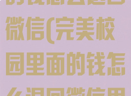 完美校园里面的钱怎么退回微信(完美校园里面的钱怎么退回微信里)