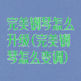 完美钢琴怎么升级(完美钢琴怎么变调)