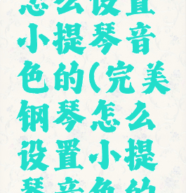 完美钢琴怎么设置小提琴音色的(完美钢琴怎么设置小提琴音色的好坏)