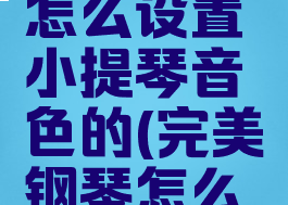 完美钢琴怎么设置小提琴音色的(完美钢琴怎么调和弦)